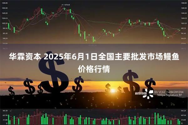 华霖资本 2025年6月1日全国主要批发市场鳗鱼价格行情