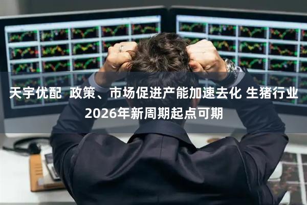 天宇优配  政策、市场促进产能加速去化 生猪行业2026年新周期起点可期